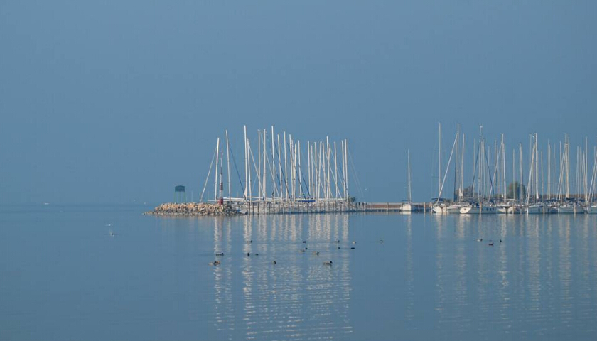 進(jìn)口報(bào)關(guān)