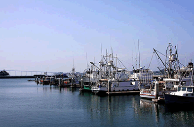 國(guó)際貨代操作解析