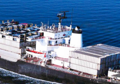 上海貨代：抓住機(jī)遇，應(yīng)對挑戰(zhàn)，創(chuàng)造價值