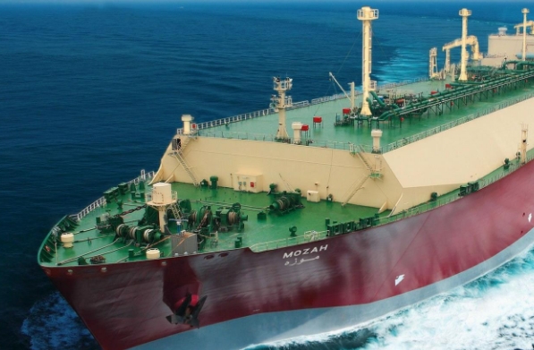 中國的海運(yùn)業(yè)發(fā)展迅速，國內(nèi)海運(yùn)公司也紛紛嶄露頭角