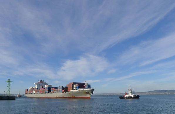 國內(nèi)海運(yùn)公司在全球化時代具有重要的地位和作用，面臨著挑戰(zhàn)和機(jī)遇