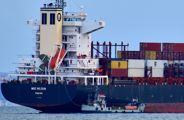 上海貨代公司的運作機制，其在全球物流體系中的獨特地位如何？