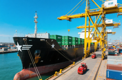 國際海運物流公司：高效運輸，縮短木材出口時空距離